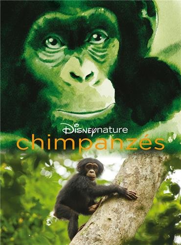 Chimpanzés