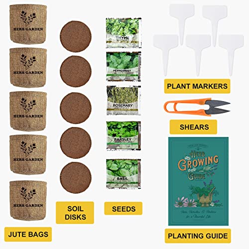 Indoor Herb Garden Starter Kit, 5 NonGMO Herb Seeds Basil, Parsley