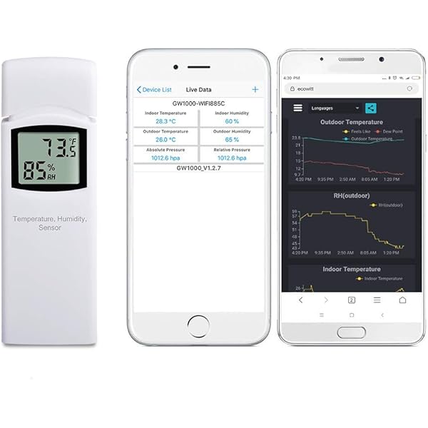 Ambient Weather WH31P Water Proof Probe Temperature Sensor
