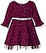 Youngland Baby Girls' Metallic Sweater Knit to Tutu Mesh Dress