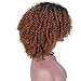 AisiBeauty Brown Kinky Curly Hair Wigs Heat Resistant Fiber Fluffy Wigs Short Ombre Synthetic Curly Wigs for Black Women African American Female
