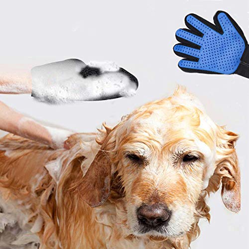 DASHH Glove + Brush for Dogs and Cats, Comb and Self-Cleaning Grooming for Pets, Removing Excess and Dead Animal Hair