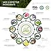 [UPGRADED 2018] True Kaizen Premium Lavender Green Tea Rose & Ginger Foot Patch Pads, 2-in-1 Strong Adhesive, 100% Natural Ingredients, FDA Approved - Improve Sleep & Relief - eBook Included – 20 Pack