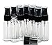 Vivaplex, 12, Clear, 20 ml, Plastic Bottles, with Black Fine Mist Sprayers