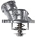 MAHLE TM29100D Map-Controlled Thermostat