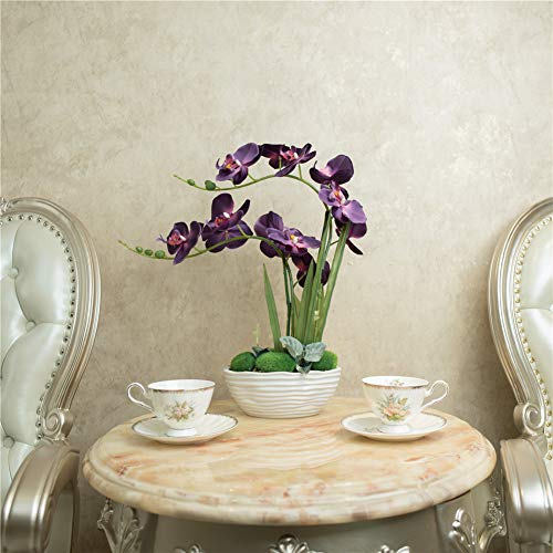 YSZL Large Artificial Potted Orchid Plant, Silk Flower Arrangement with Ceramics Vase, Dark