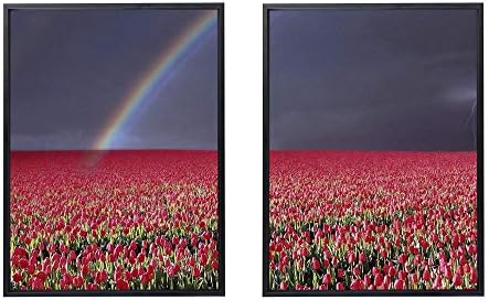 50x70cm X2枚 ライト高級 クリスタル磁器の装飾画 黒アルミ合金フレーム チューリップ花フィールドロット空虹雷 アートパネル 壁掛け絵画 インテリアアート モダン おしゃれ 現代 部屋飾り 玄関 壁掛け 壁ポスター 大人気 絵画 壁飾り