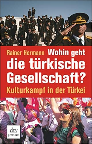 Wohin Geht Die Turkische Gesellschaft Kulturkampf In Der Turkei Dtv Premium Hermann Rainer Amazon De Bucher