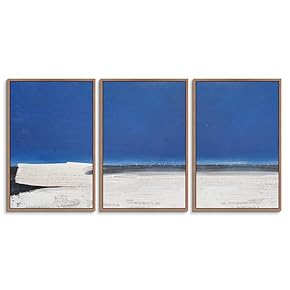 signwin 3 Piece Framed Canvas Wall Art Abstract...