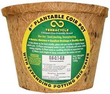 Plantable Coir Pot (6") - Set of 6