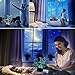 Gawell Christmas Gift Pet Cat 3D Illusion Birthday Present Beside Table Lamp, 16 Colors Changing Touch Switch Decoration Night Lamp with Remote Control Cat Lover Theme Toy