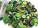 levylisa Green Buttons - Bulk Green Button - Bright Green Sewing Crafting - Assorted Green Plastic Buttons - Green Flash Pack of Green Buttons for Arts, Crafts, Sewing and Decoration