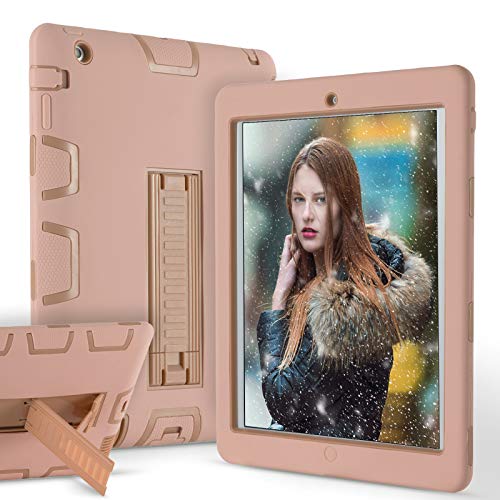 iPad 2 Case