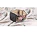 bayite Leather Bands Compatible with Fitbit Versa/Versa 2, Slim Wristband Replacement Accessories Fitness Classic Straps Women, Black/Pink Flower