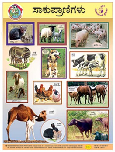 Pet Animals Chart With Names - Pet's Gallery