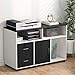 Tribesigns Wood File Cabinet, 2 Drawer Storage Printer Stand, Mobile Lateral Filing Cabinet with Locks and Wheels, Open Storage Shelves for Study, Home Office (Black&White)