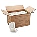 Morex Compostable Clamshell Hinged Food Container, 6 in. x 6 in. x 3.1 in, 500 Containers
