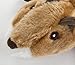 GoDog Flatz Squirrel Toy with Chew Guard