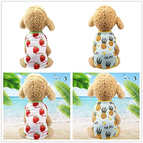 NEARTIME Puppy Clothes, Small Dog Cat Pet Dress Fly Sleeve Dress for Pet (M, B-Light Blue)