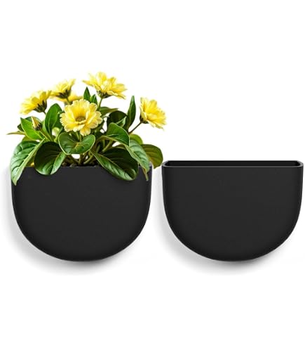Phoenix Vine 6.5-Inch Wall Mounted Self-Watering Planter – Set Of 3, Black, For Indoor Plants & Herbs