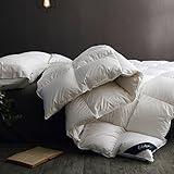 Globon Fusion White Goose Duvet Insert Queen Heavywarmth Winter, 50OZ, 650 Fill Power, 100% Cotton Shell, 300 Thread Count, Hypoallergenic with Corner Tabs, White