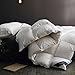 Globon Fusion White Goose Duvet Insert Queen Heavywarmth Winter, 50OZ, 650 Fill Power, 100% Cotton Shell, 300 Thread Count, Hypoallergenic with Corner Tabs, White