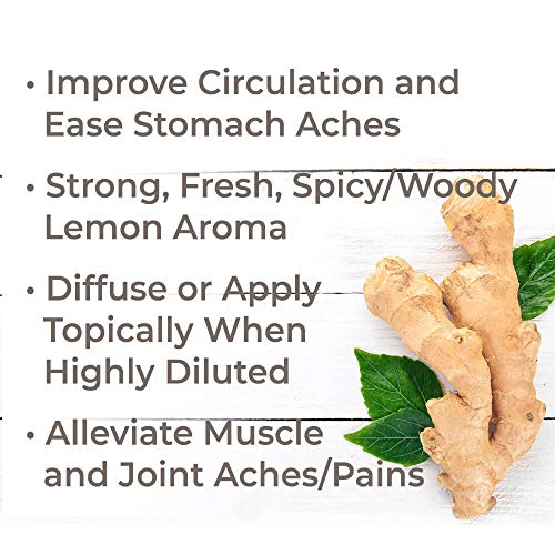 Plant Therapy Ginger Root CO2 Essential Oil 100 Pure, Undiluted