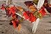 Autumn Silk Maple Leaves Garland with Multiple Fall Colors by Factory Direct Craft - Maple Leaf Garland for Thanksgiving and Fall Decorations