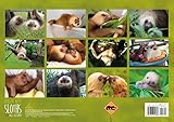 Image de Hangin' with Sloths 2018 Wall Calendar (English, French and German Edition)