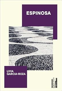 Livro Espinosa