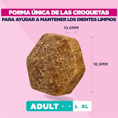, alimento seco para Perros con Pollo Fresco para Razas Grandes - Alimento seco Premium para Perros Adultos, 15 kg