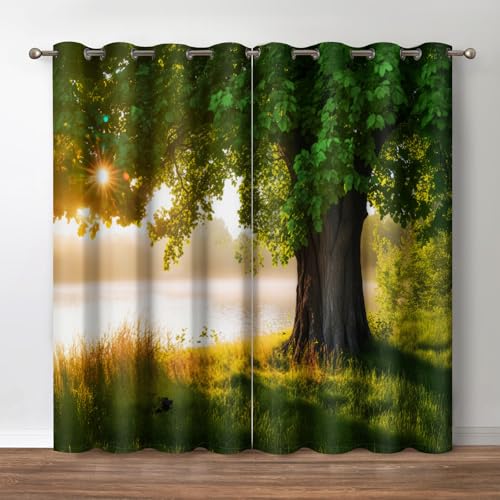 Jekeno Oak Tree Forest Blackout Curtains Green Tree Jungle Nature Landscape Foggy Scenery Stream View Print Decor for Bedroom Living Room Grommet Window Drapes 2 Panel Set, 52