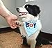 BINGPET Dog Birthday Bandana Pet Scarf Blue