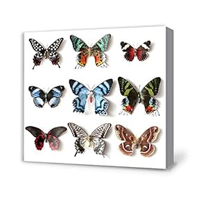 Canvas Wall Art for Living Room,Bedroom Home Artwork Paintings Butterfly Ready to Hang - 12x12 inches