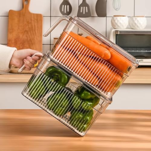 Clear Stackable Fridge Organizers & Storage XVersion 2PCS Transparent Food Storage Containers with Timer Lids & Handle | Fresh-Keeping Storage for Fruits, Vegetables & Eggs (V1)