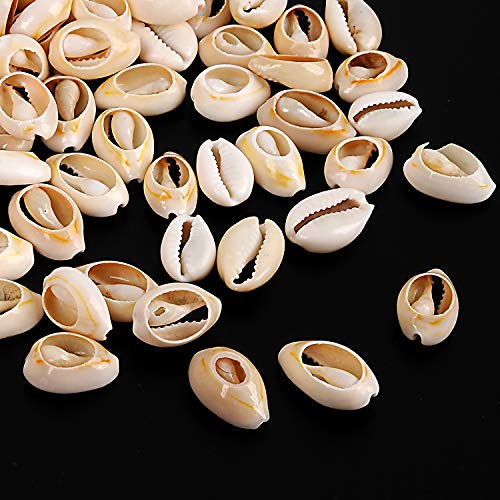 YUEAON 100pcs Natural Spiral Shell Beads Sea Shells Beach Seashells Cowrie Shells Charms and Beads for DIY Craft Jewelry Making Accessories (16~18mm)