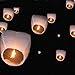 10 PCS Chinese Sky Lanterns Wishing Lantern for Birthdays, Holidays, Weddings, Party (white)