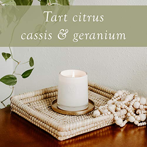 Votivo Red Currant Candle | 8.5 oz White Glass Candle
