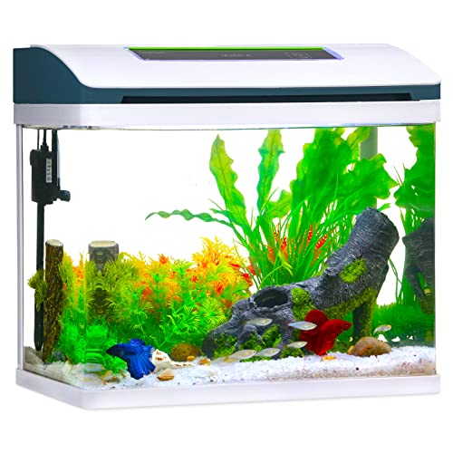 Betta Fish Tank Glass Gallon Self Cleaning Small Aquarium