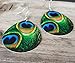 Pashal Deep Green Peacock Tail Feather Dangle Drop Disc Earrings