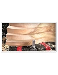 Amana Herramienta 45551 Flush con punta de carburo recortar Plunge plantilla 1   1 8 D x 2 inch CH X 1 2 W SHK superior Ball Bearing Router Bit