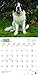 Saint Bernards 2018 Monthly Square Wall Calendar