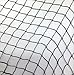 Wilson Bird Netting for Blueberries and Fruit Trees 50x50 Professional Grade