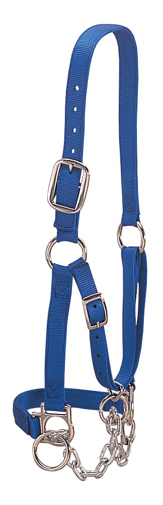 Weaver Livestock Heavy-Duty Restraint Nylon Cattle Halter, Adjustable, Modern Style Cow Calf Halter, Livestock Handling Equipment for Showing, Blue