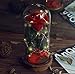 Nalosun Beauty and The Beast Rose Enchanted Red Silk Rose with Fallen Petals in Glass Dome on a Wooden Base Best Gift for Her,Mothers Day Valentine's Day Wedding Anniversary (A:Red Silk Rose)