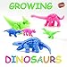 LIMBA Water Growing Dinosaurs (32 PC Set) - Expanding Foam Animals - Water Growing Toys for Kids – Best Grow Water Toys Expanding Water Animals – Expand 600% in Water