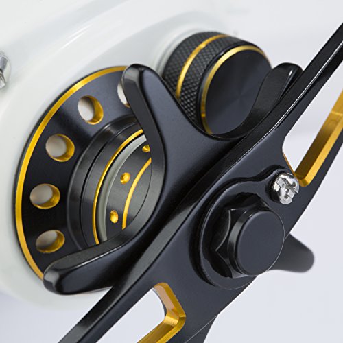 Piscifun Perseus Low Profile Baitcasting Reel Noise Free, Incredible