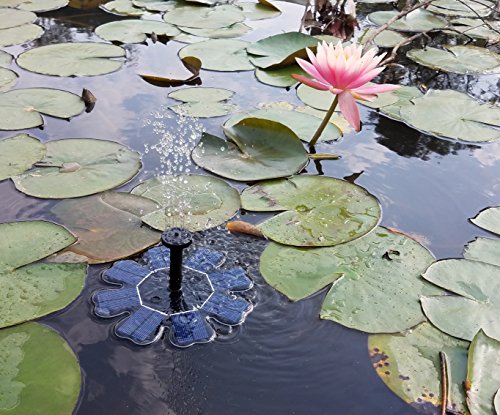 image for Solar Fountain,HiJi 1.6W Solar Powered Bird Bath Fountain Pump for Ped