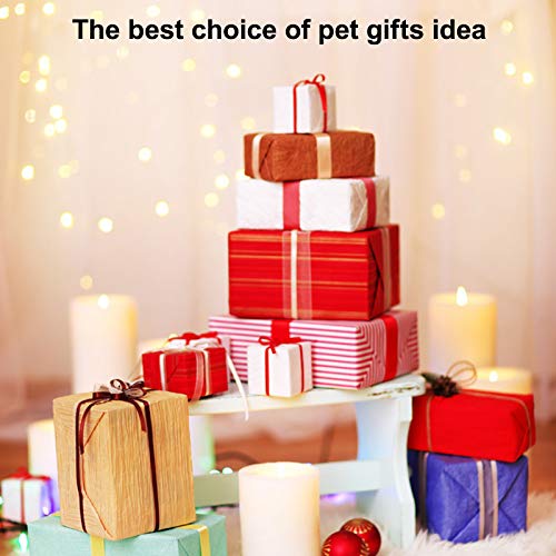 tdynasty automatic pet feeder