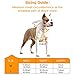 Big Dog Harness No Pull Adjustable Pet Reflective Oxford Soft Vest for Large Dogs Easy Control Harness (L, Orange)